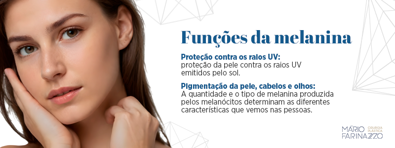 Funções da melanina Proteção contra os raios UV: proteção da pele contra os raios UV emitidos pelo sol. Pigmentação da pele, cabelos e olhos: A quantidade e o tipo de melanina produzida pelos melanócitos determinam as diferentes características que vemos nas pessoas.
