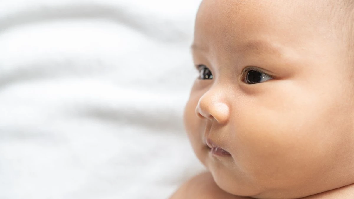 Imagem de um bebê com olhos expressivos e rosto redondo, transmitindo inocência e curiosidade.